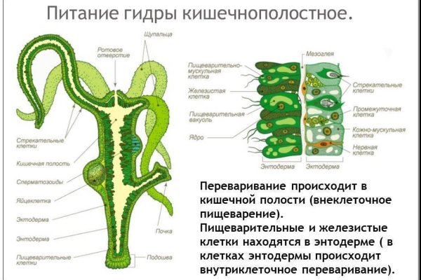 Кракен перестал работать