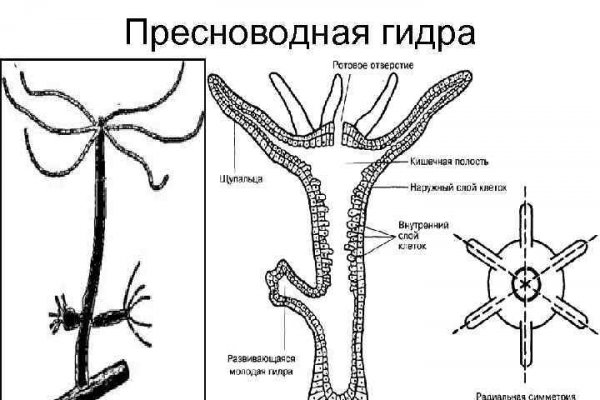 Как купить наркотик в кракен